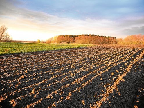 Brexit uncertainty has resulted in less farmland being offered for sale in Scotland, claims Savills.