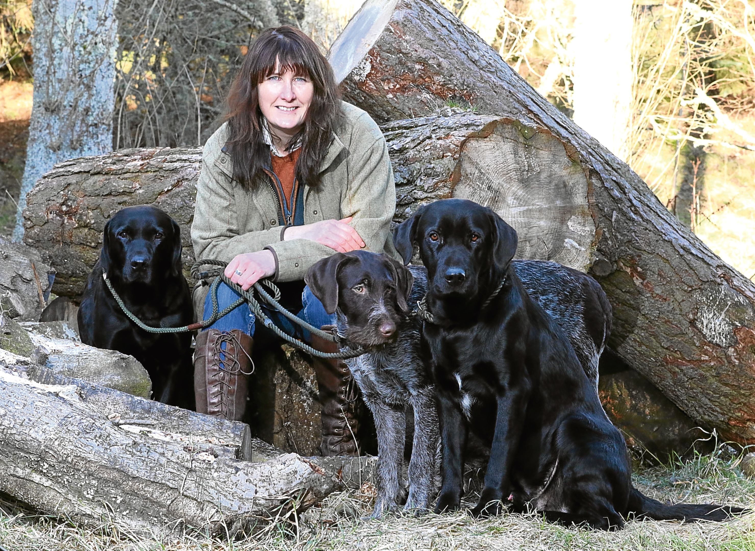 Jenny McCallum with her working dogs Corb, Magnus and Ghillie.