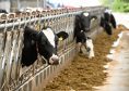 NFU Scotland has repeatedly called for farmers not to bear the brunt of milk price volatility