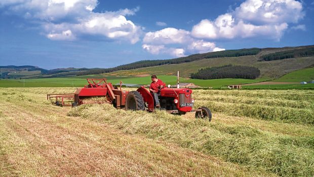 A Massey Ferguson 65 baling hay