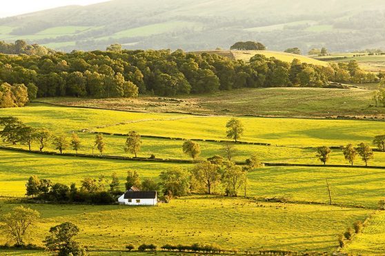 Scottish Government says it has no plans to introduce a land value tax