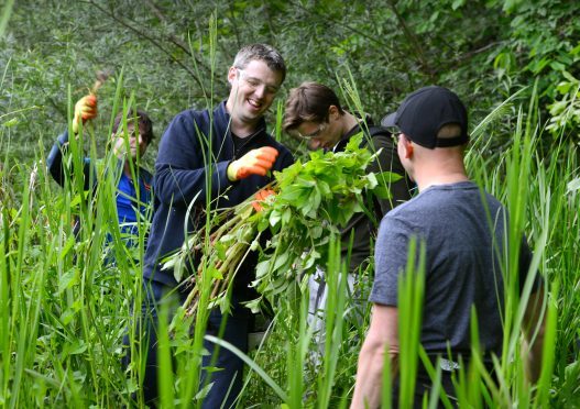 The River Dee Trust has taken action against the invasive plants