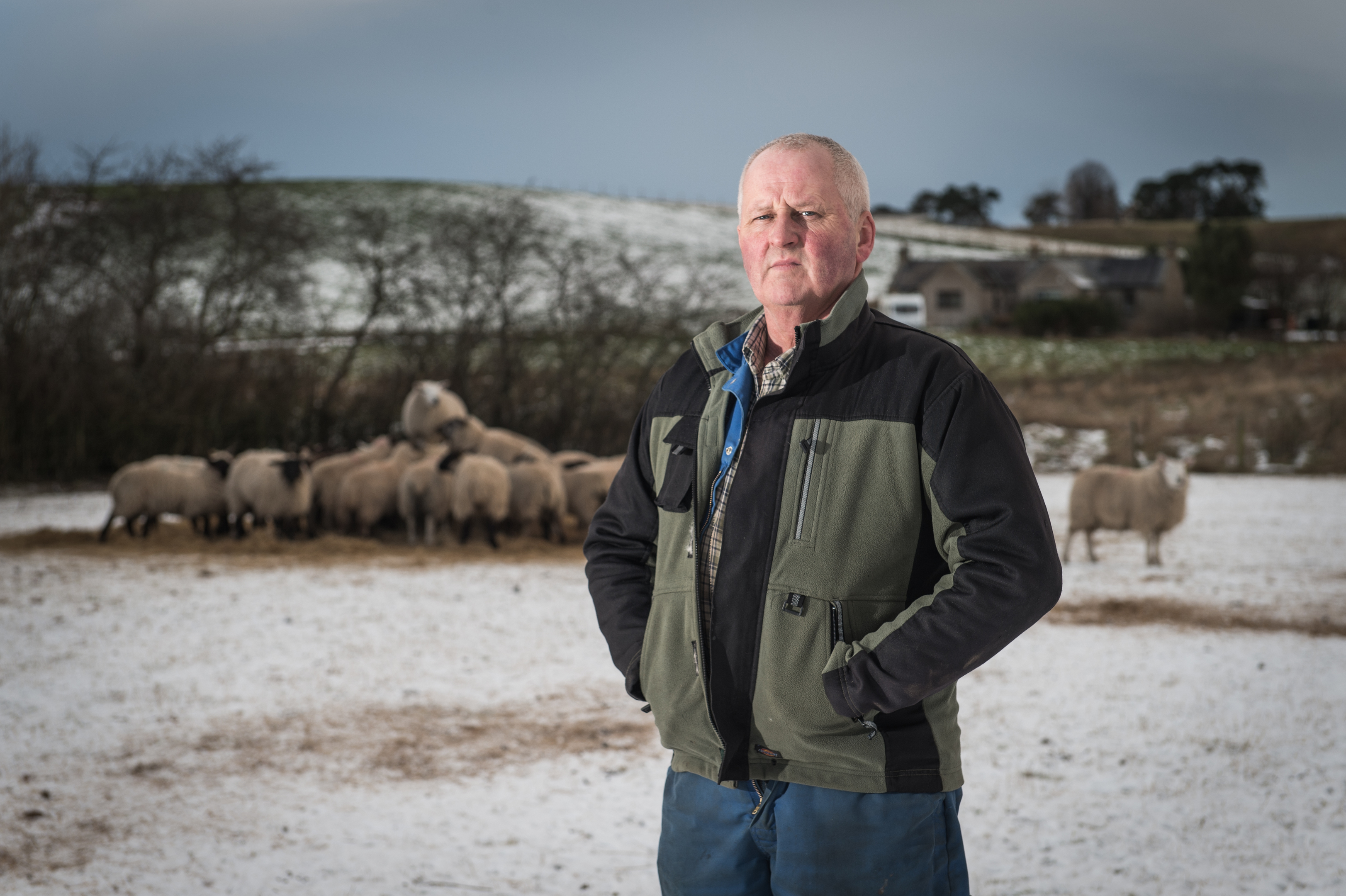 Farmer Martin Taylor. Picture by Jason Hedges