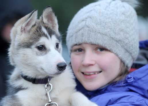 Jessica Wright of Linconshire with her eleven week old pup, 'Delta' on its first outing. Pictures by Sandy McCook