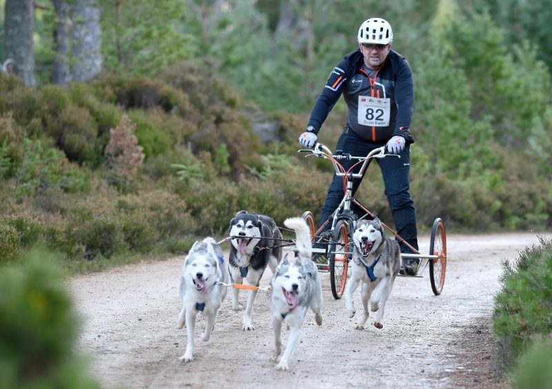 Scott Ewen of Craigellachie with his team deep in the forest.