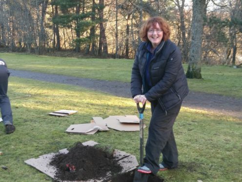 Cllr Angela Maclean