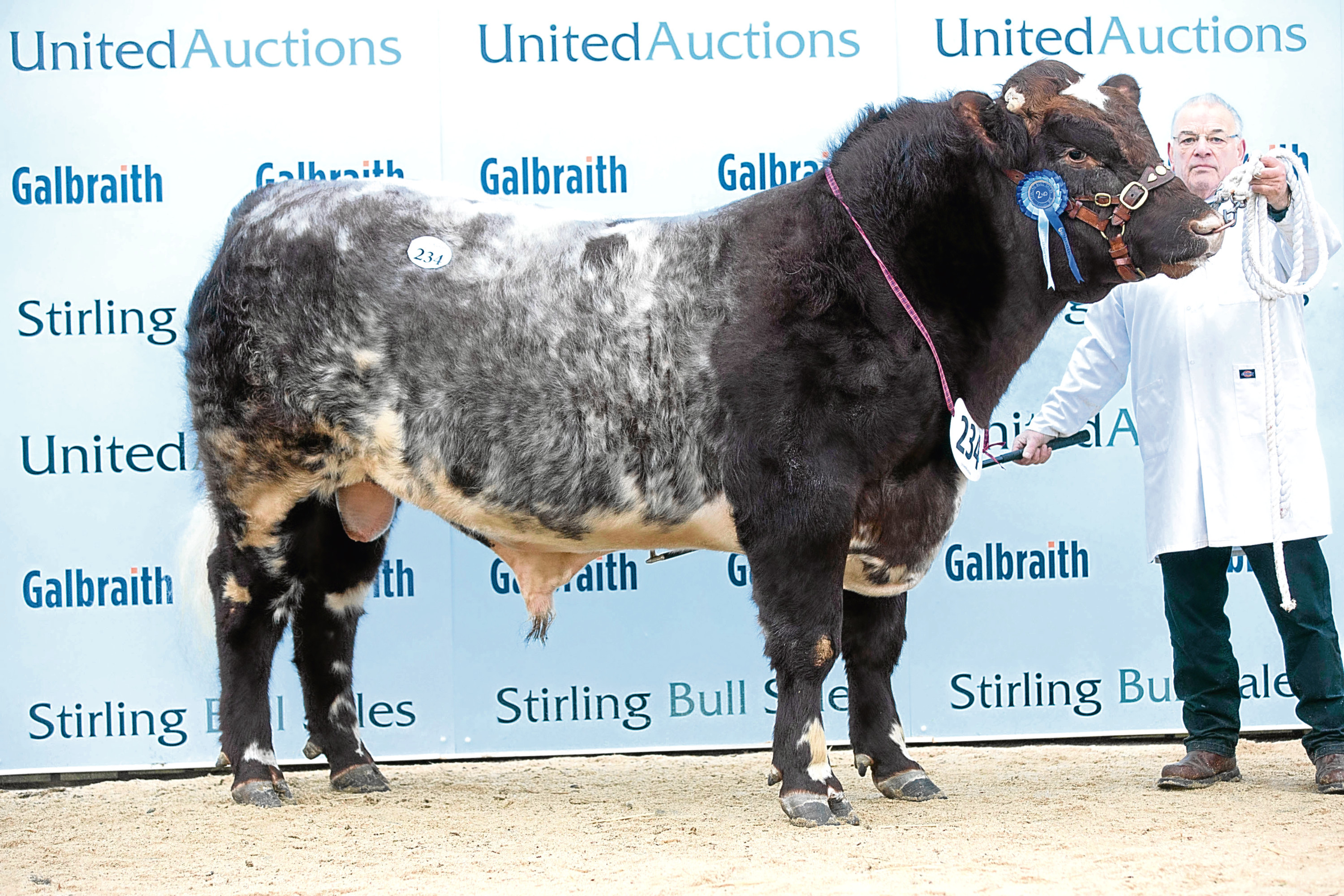 Millerston Kasper sold for the top price of 20,000gn