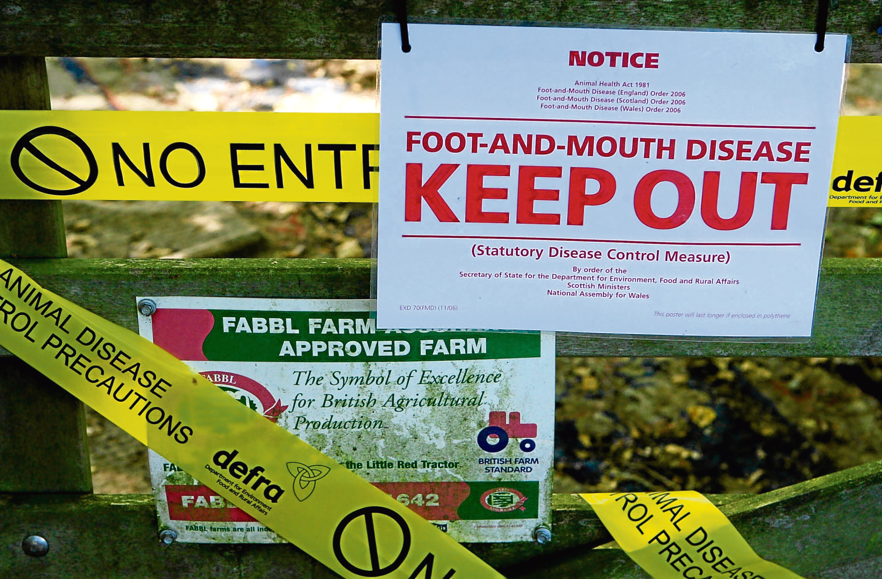 Warning notices at a farm know locally as The Klondyke, near Egham, Surrey, after sheep suspected to have foot and mouth were culled last night.

Photo: Gareth Fuller/PA Wire