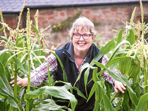 Smallholding Scotland chairman Rosemary Champion