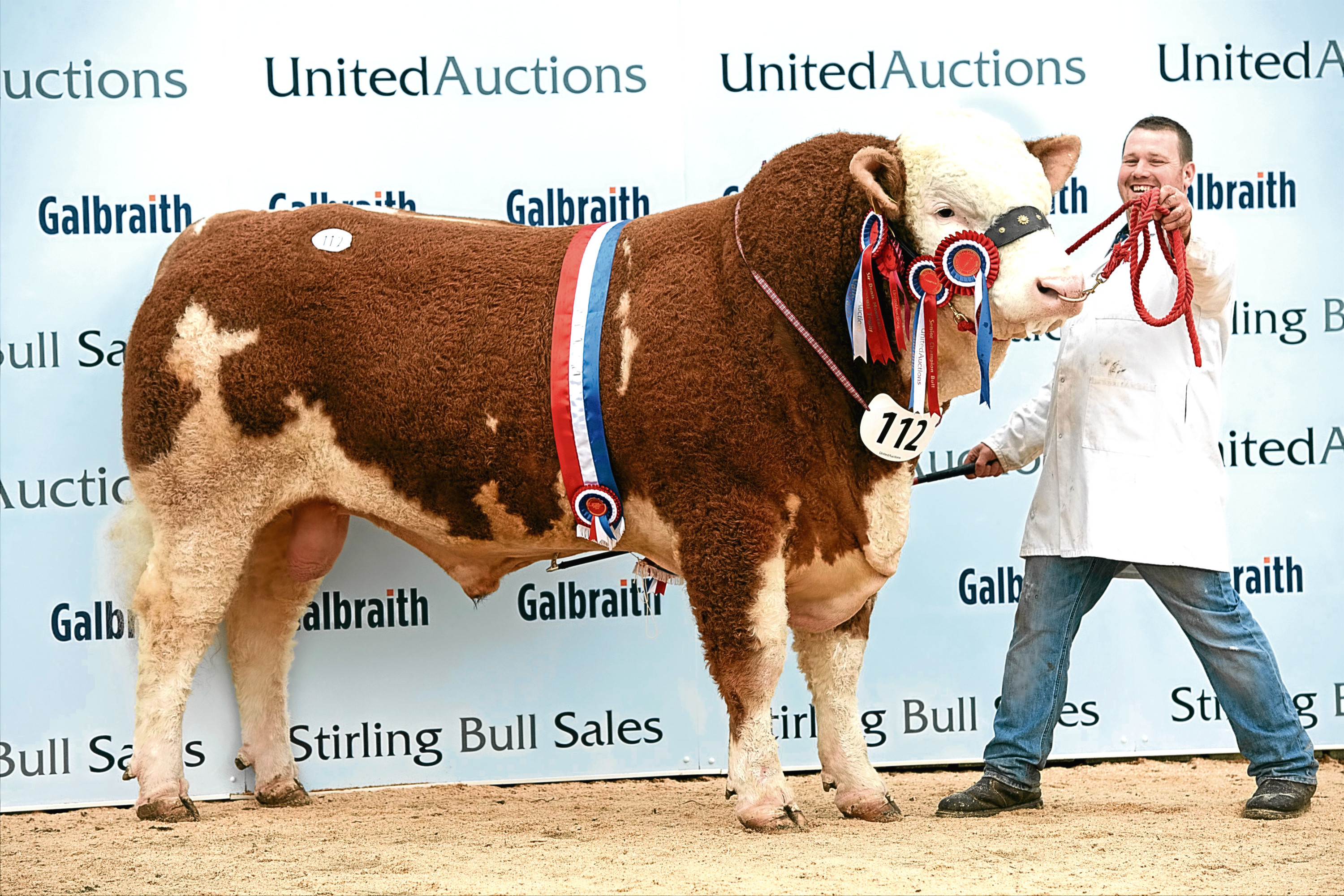 Islavale Hugo stood overall champion in the Simmental section.