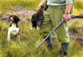 The SCF says most crofters do not hold the sporting rights on the land they farm.