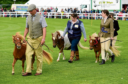 Council funding sought to help with the running of Turriff show