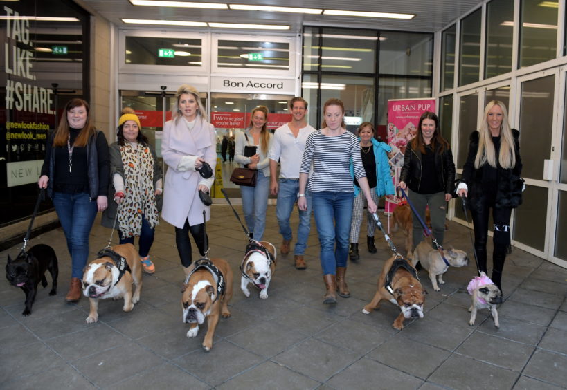 Legally Blonde dog auditions at the Bon Accord Centre. Pictured with hopefull applicants are the productions Helen Petrovna and David Barrett who are judging the dogs.
15/02/18.
Picture by KATH FLANNERY