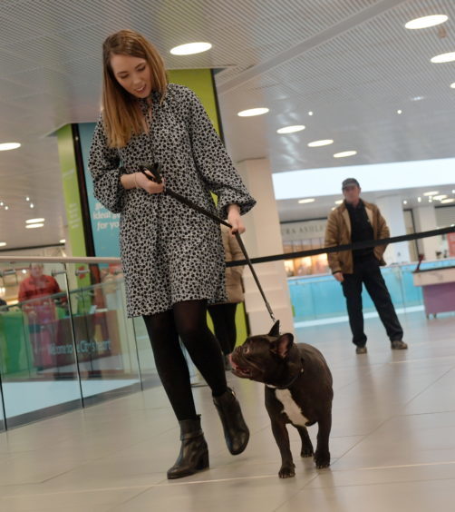Legally Blonde dog auditions at the Bon Accord Centre. Pictured is Bethany Hogg with Jarvis.
15/02/18.
Picture by KATH FLANNERY