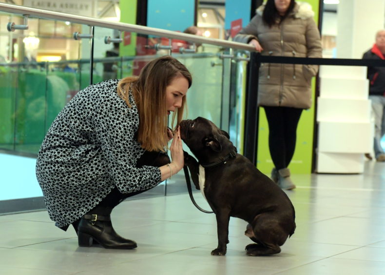 Legally Blonde dog auditions at the Bon Accord Centre. Pictured is Bethany Hogg with Jarvis.
15/02/18.
Picture by KATH FLANNERY