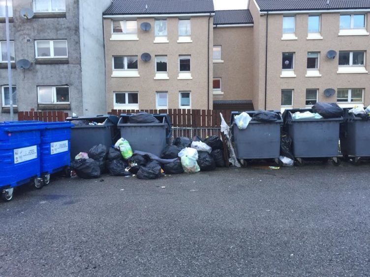 Great Granny Clears Up After Neighbours As Three Weekly Bin Collections 