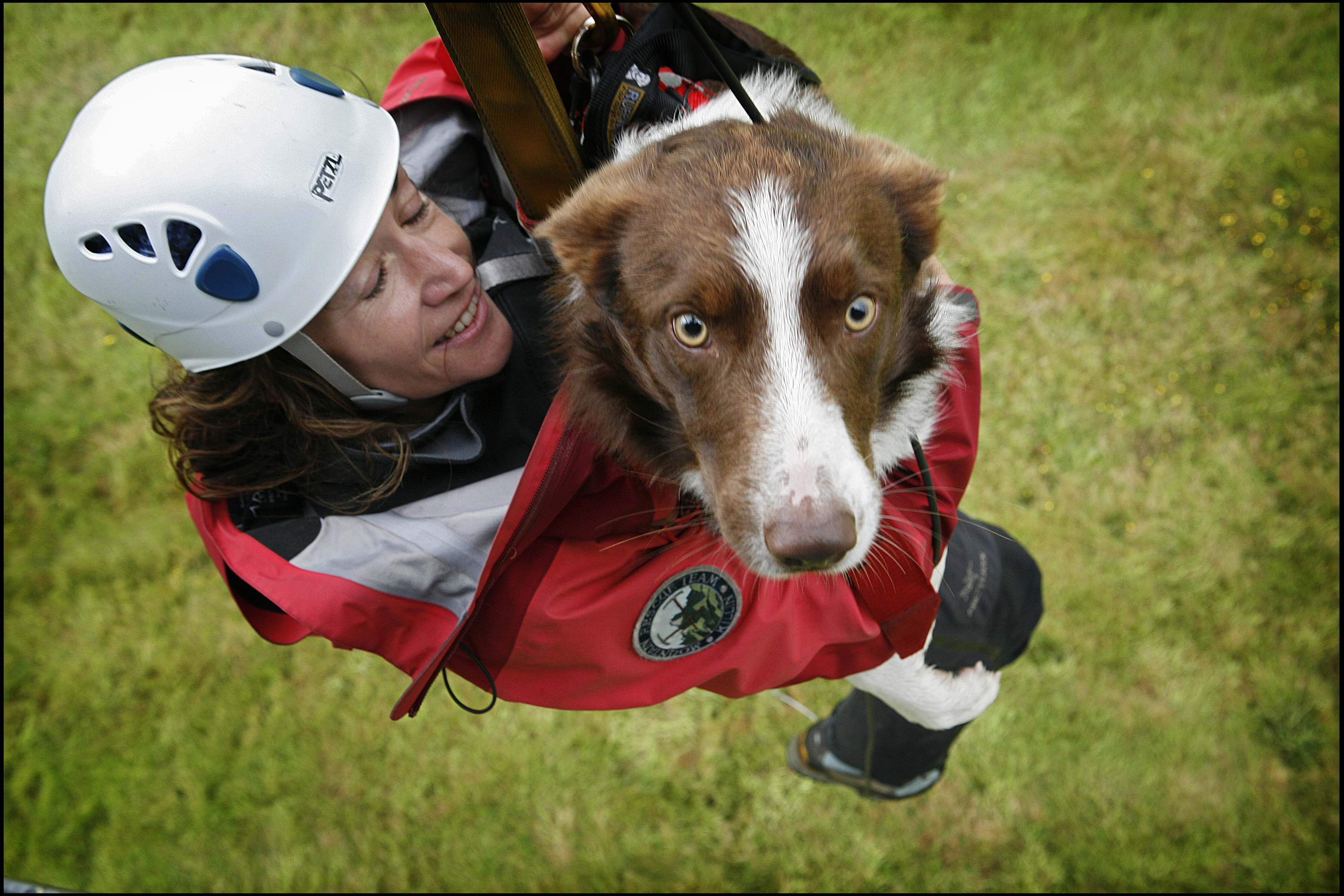 Search and Rescue Dog Association training.