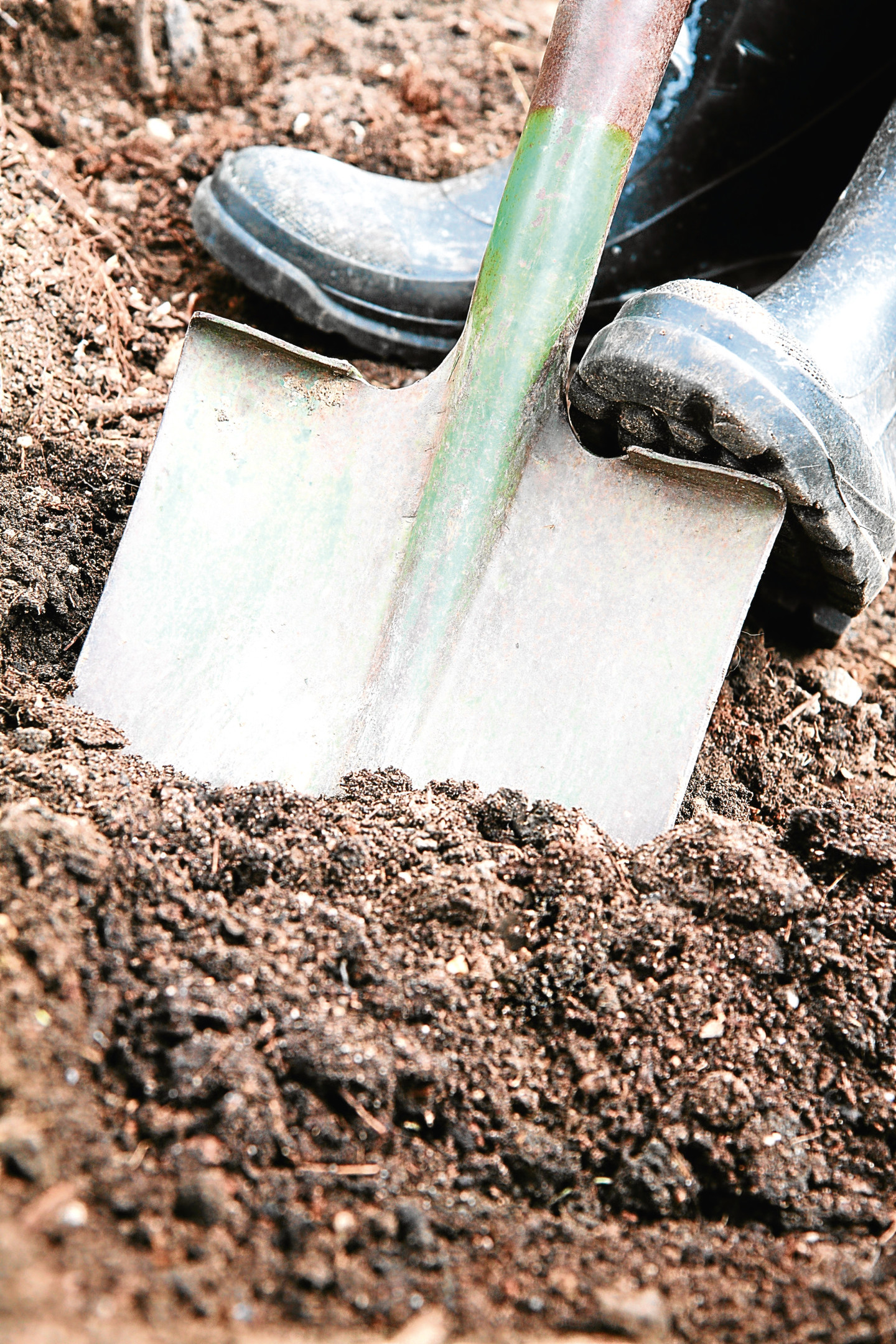 The soil will be analysed by experts.



THINKSTOCK