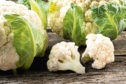 The company grows a range of vegetables including cauliflower.