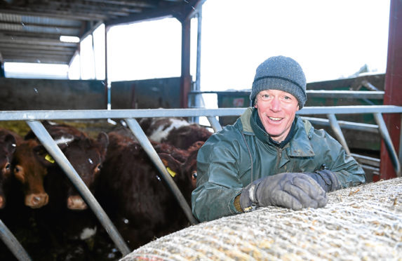 Picture by SANDY McCOOK   2nd March '18
Business Focus.
Patrick Harrison of Balliefurth Farm and Balliefurth Farm Shop, Nethy Bridge.