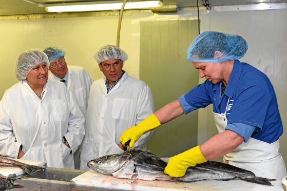 SCOTS TORY LEADER ANNABEL GOLDIE WITH LOCAL CANDIDATES GEORDIE BURNETT-STUART AND MICHAEL WATT WATCH KAREN SMITH FILLET A COLLIE AT CALEY FISHERIES DURING HER VISIT TO PETERHEAD.(BUCHAN/BROWN)