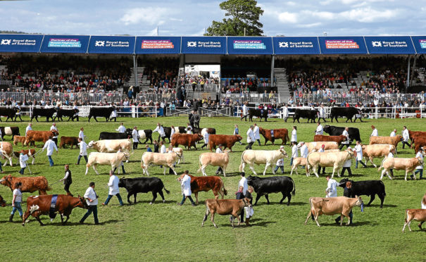 Livestock entries are up across the board.