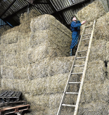 HSE chairman Martin Temple has called for safer working practices on farms and crofts