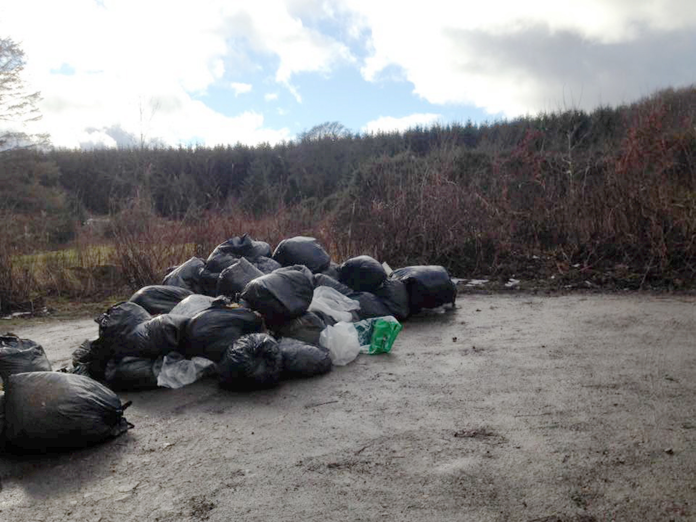 Bags of rubbish have been dumped at White Cow Wood near Mintlaw.
