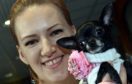 NORTH EAST PET EXPO 2018
The biggest Pet Fair to hit the North East of Scotland came to Thainstone Centre on Saturday. Natalija Janse Van Vuuren with Lilly.
Picture by COLIN RENNIE   March 17, 2018.