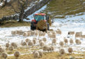 Scottish Government said it is considering what aid it can offer farmers following the recent spell of bad weather