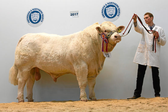 Harestone Leam stood champion at last year's show.