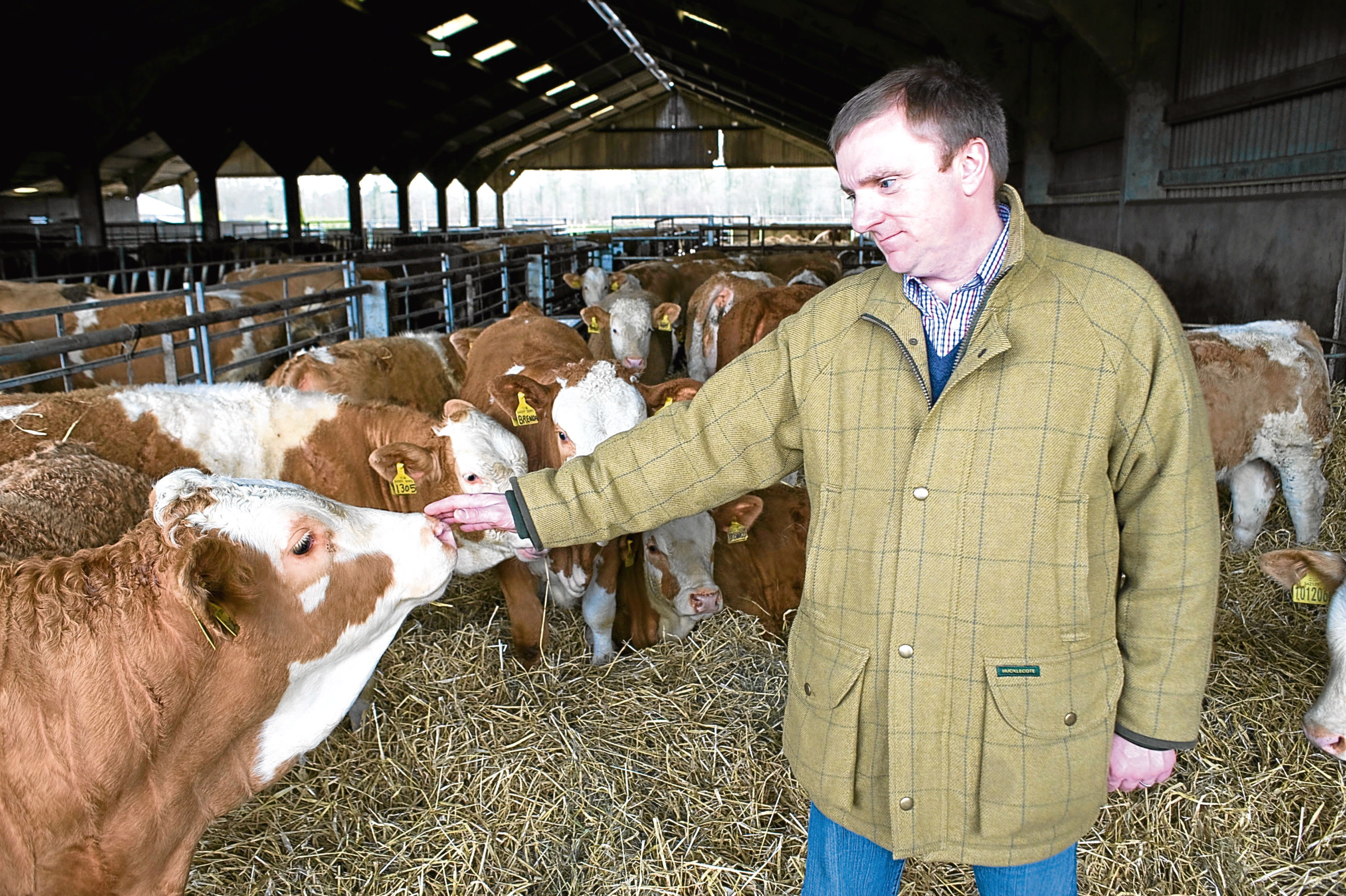 Quality Meat Scotland chairman Jim McLaren