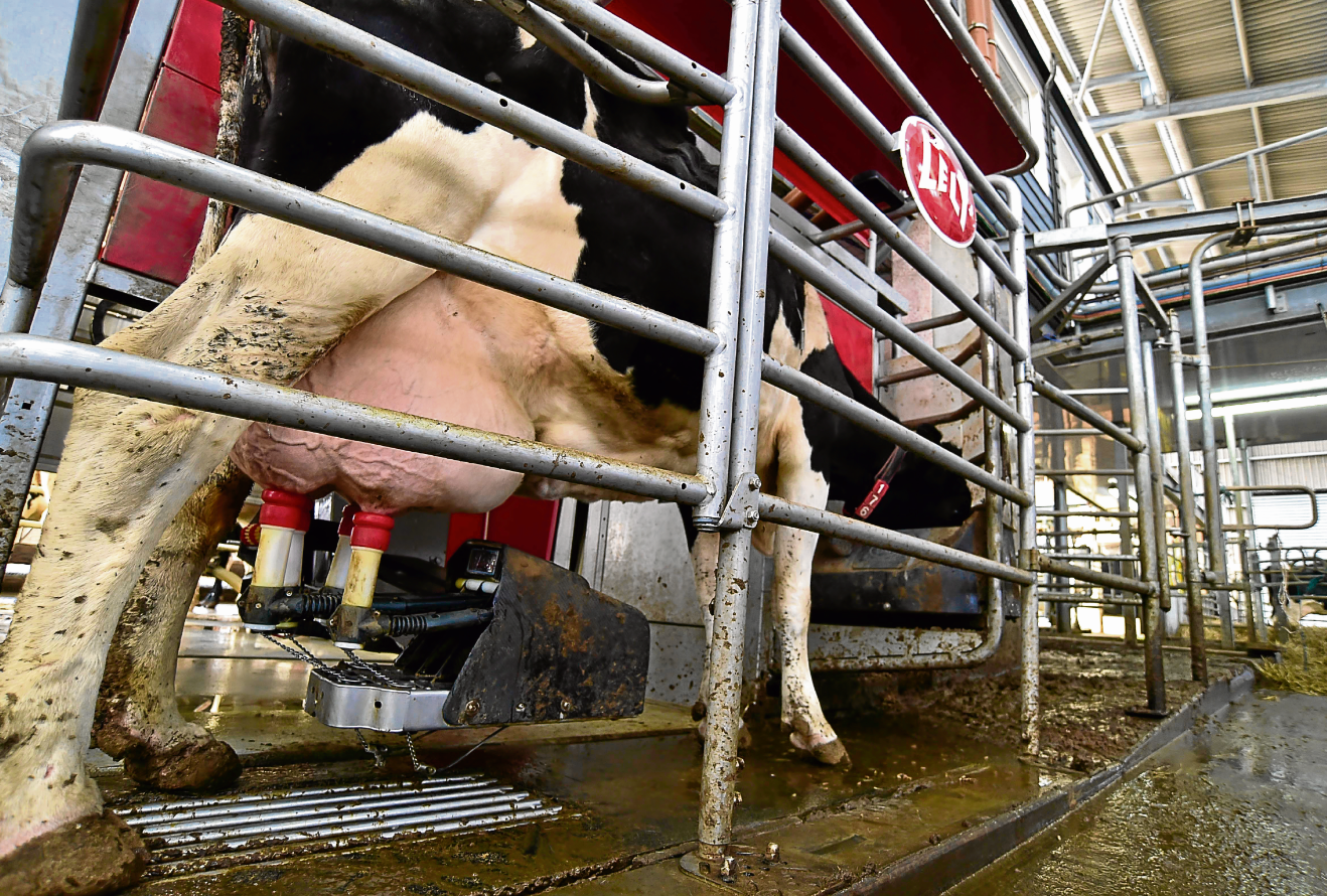 Locals will get to see the robotic milking machines in action