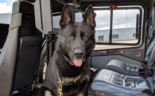 Bodie joined the Aberdeen police division in May last year but was transferred south in June 2017.