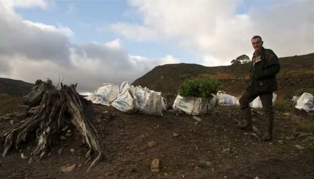 Paul Lister supports the reintroduction of formerly native species such as the wolf