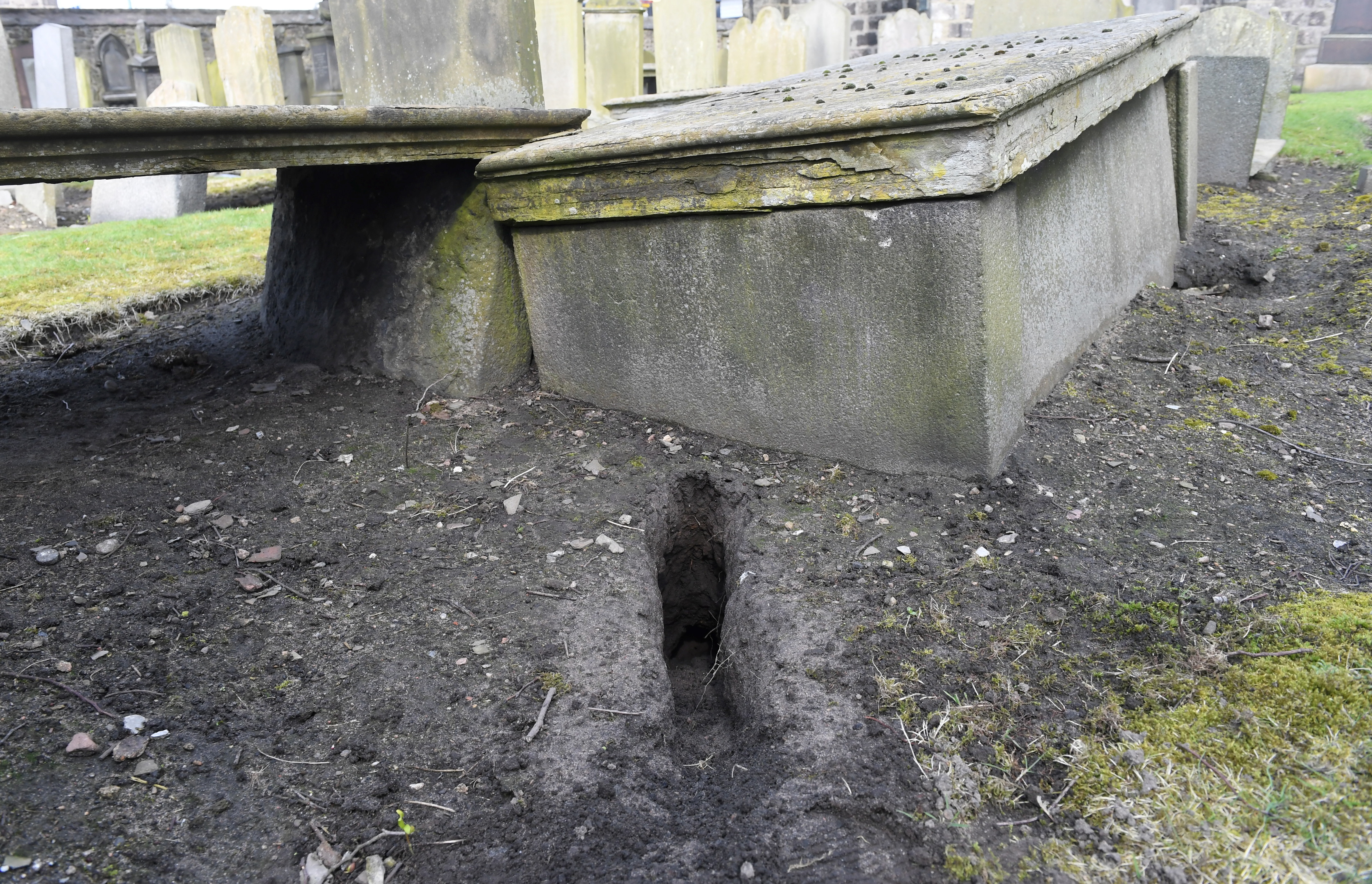 Rabbits are being blamed for digging up bits of human bone in an Aberdeen cemetery