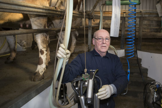 Farm owner Gordon Mackay at Moorpark Dairy