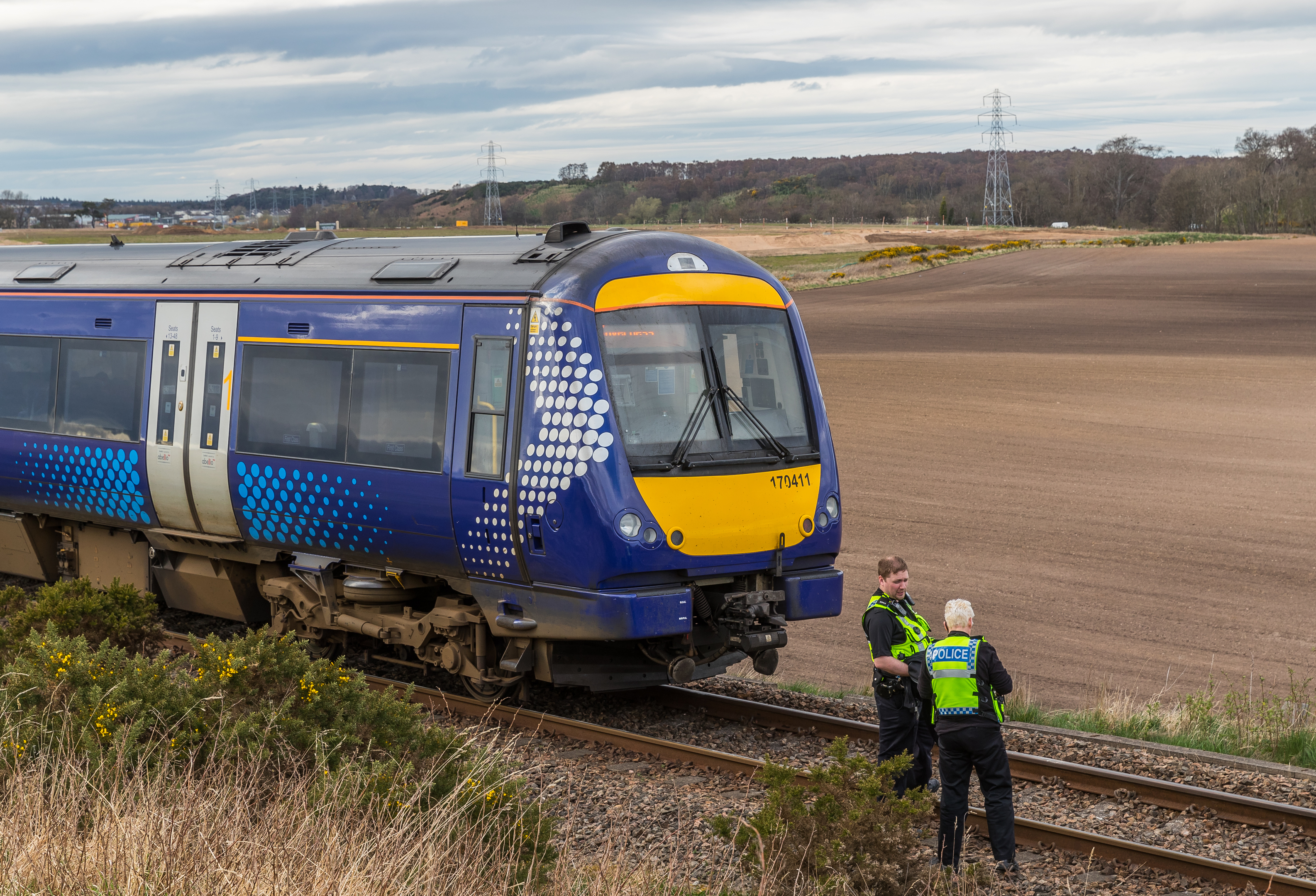 Collision between Cows and a Train between Elgin and Lhanbryde, Moray, Scotland.
