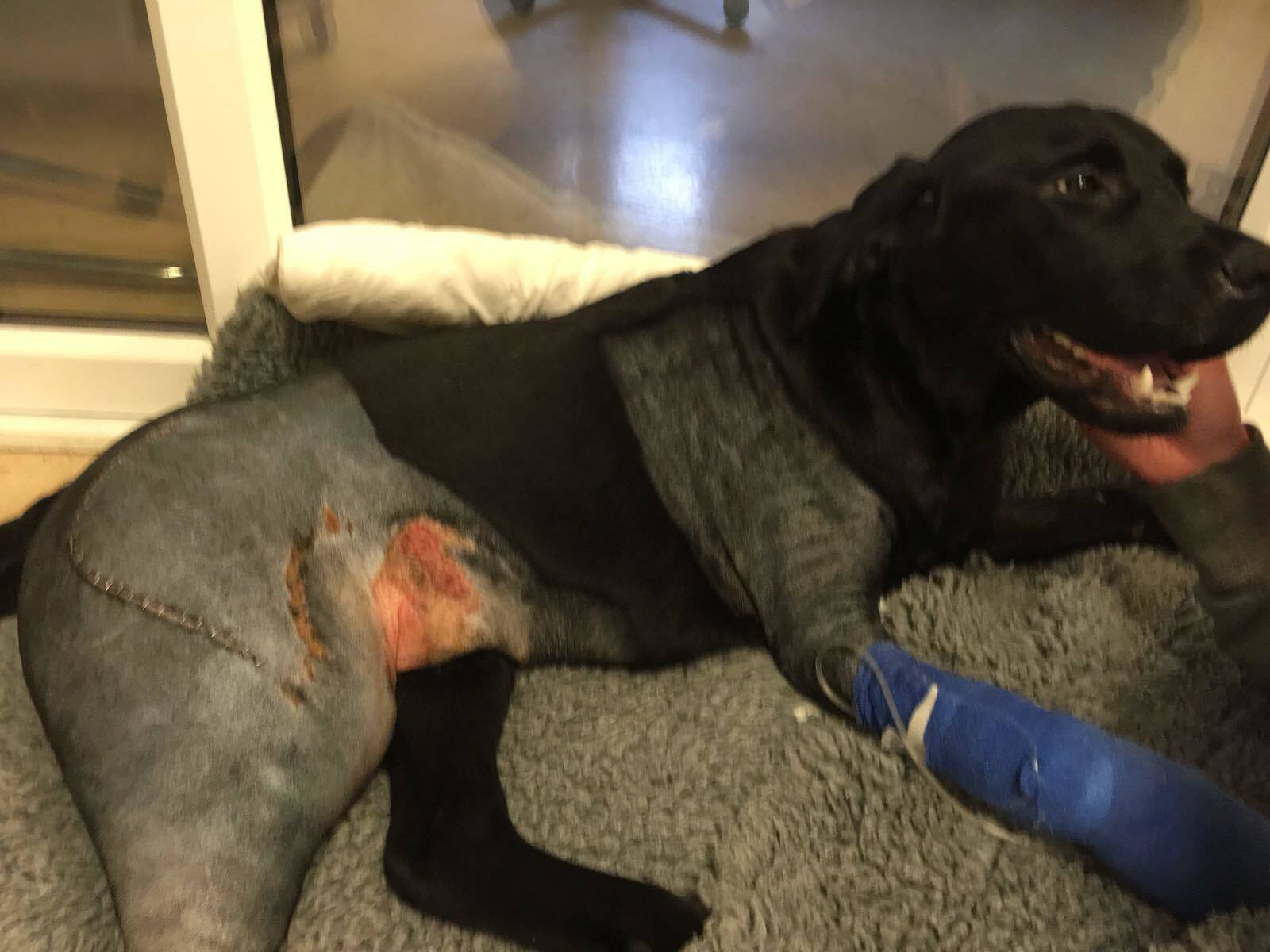 Baxter was left "smashed-up" following a hit and run incident last October.