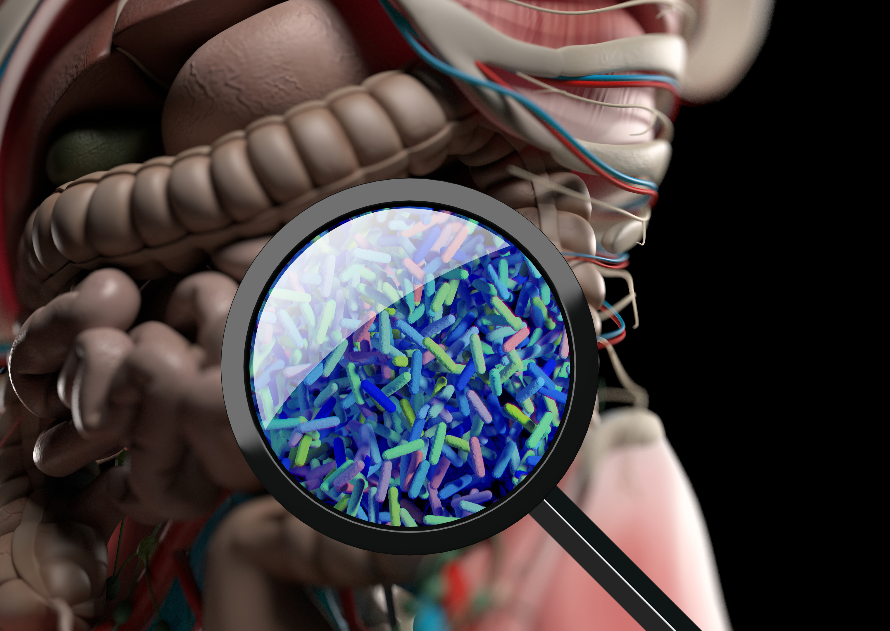 A 3D illustration of gut bacteria magnified through magnifying glass.
