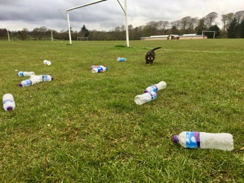 Litter at Hazlehead Park.