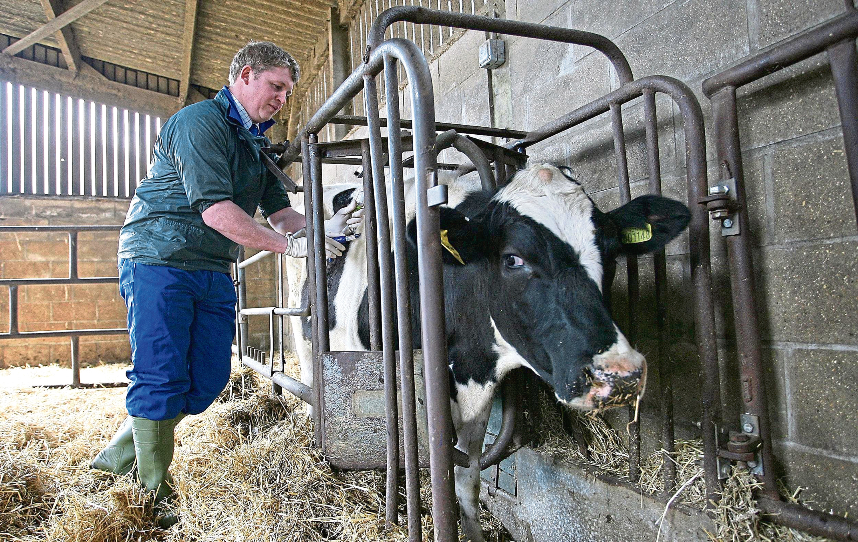 The BVA has called for protection for vet practices.