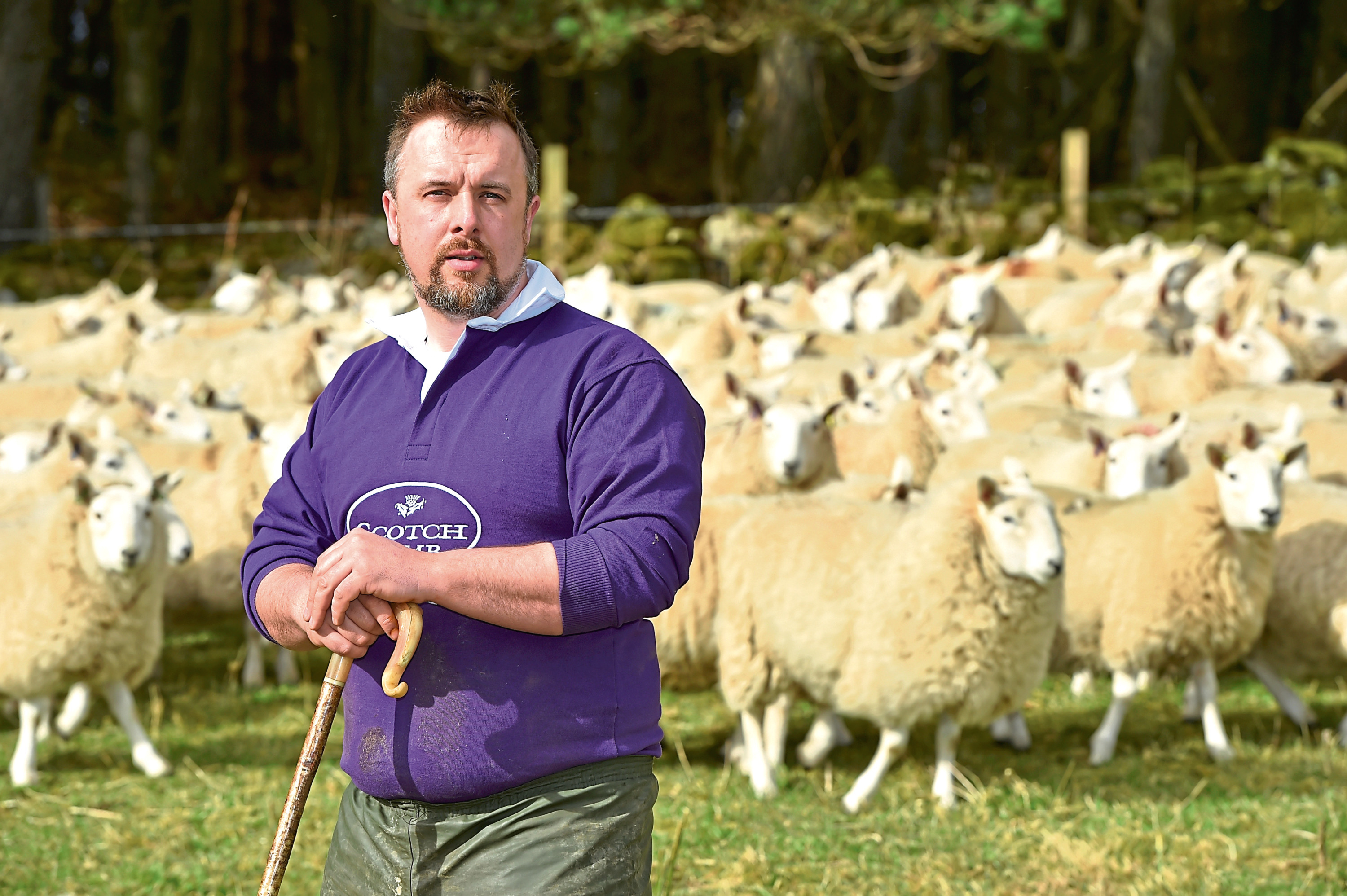 National Sheep Association Scotland chairman John Fyall