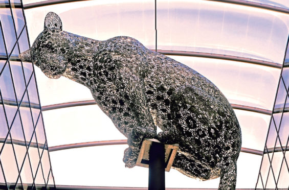 Pictured is Andy Scott's sculpture of a Leopard titled "Poised" at Marischal Square, Aberdeen.
Picture by Darrell Benns