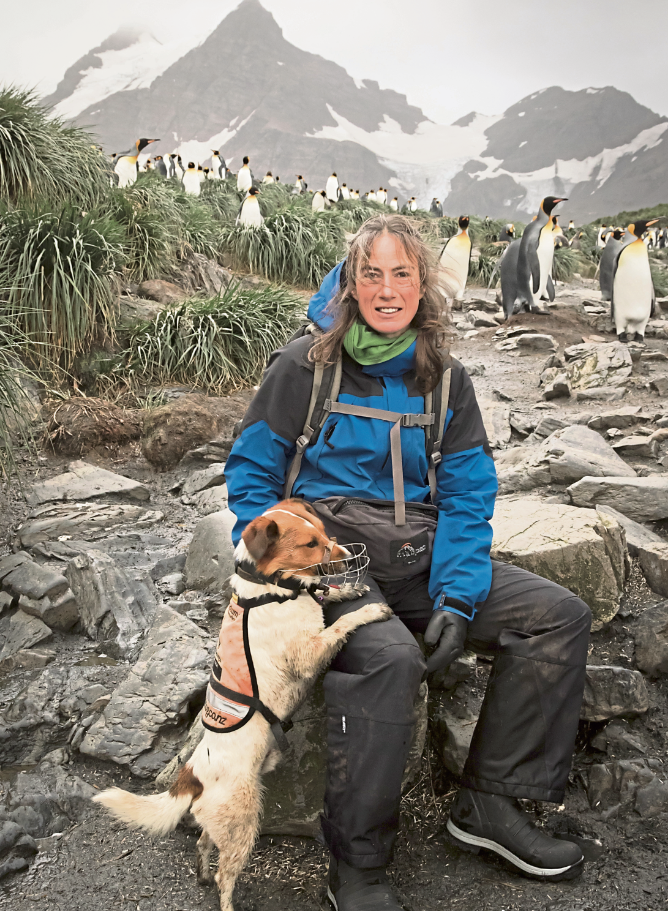 Dog handler Jane Tansell with her rat detection dog Wai and some of South Georgia’s natives
