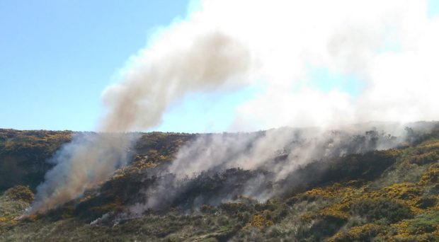 Fire crews were called to the gorse fire near Hopeman.