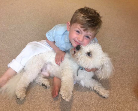 Victoria Duffy's son Mason with his beloved pet Otto.