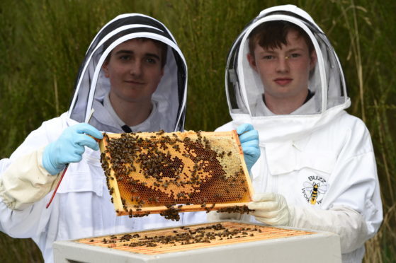 Martin Leahy and Sean Dinnie have been selected to represent Scotland at the International Meeting of Young Beekeepers 2018.
Picture of (L-R) Martin Leahy and Sean Dinnie.

Picture by KENNY ELRICK     03/05/2018