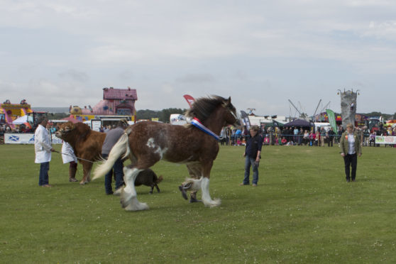 Joyce Campbell, (right), at the Sutherland Show last year