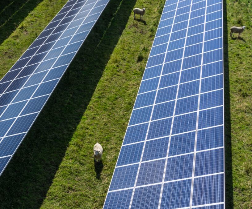 Elgin Energy already operates solar farms in the south of England and Ireland.